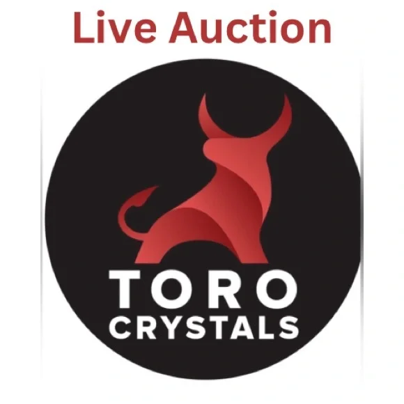 Live Auction Crystal Sale - Picture 1 of 5